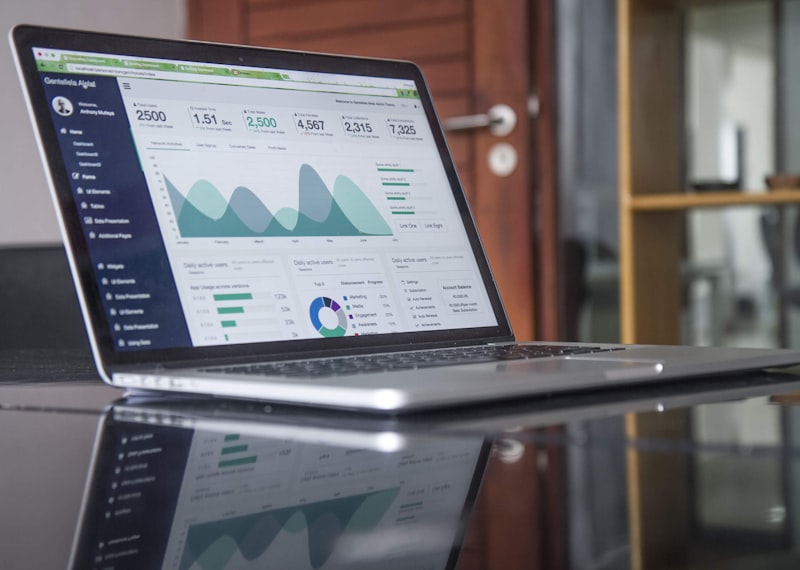 Frilenser analizira statistiku i poslove na laptopu